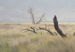 De Strabrechtse Heide geschilderd door Peter Durieux