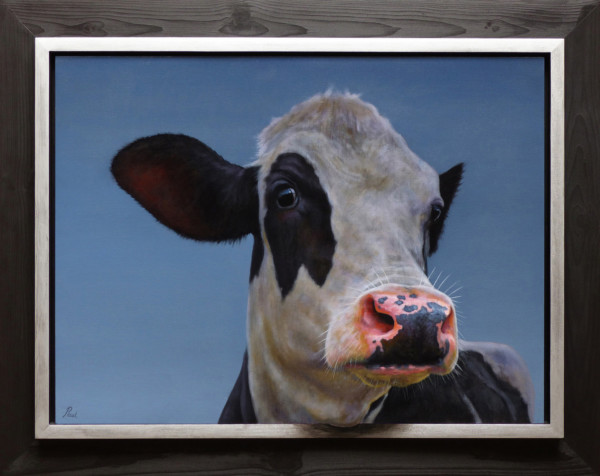 Portret koe