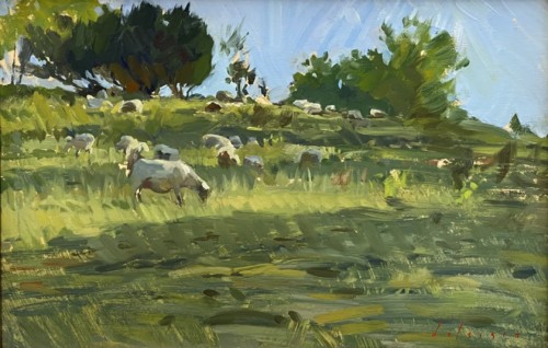 Normandy Sheep